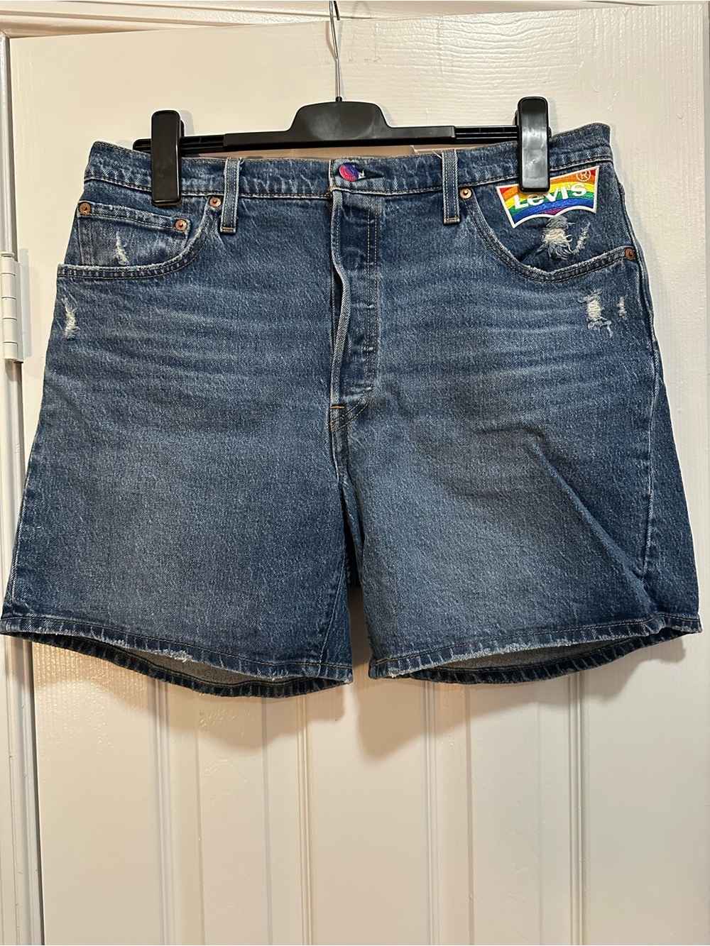 Levi's 501 Custom Denim PRIDE Shorts